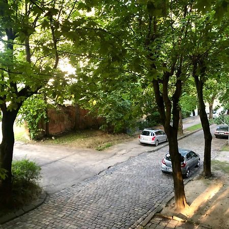 Apartment Karpintsa Lviv Bagian luar foto