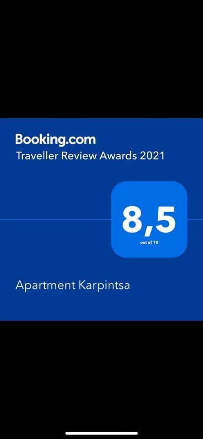 Apartment Karpintsa Lviv Bagian luar foto