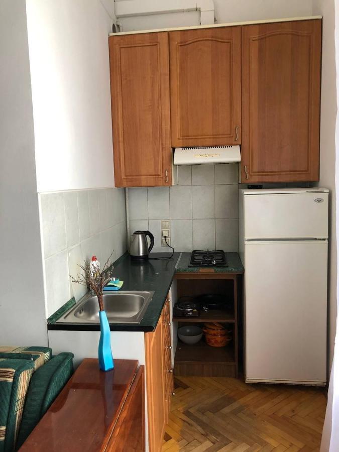 Apartment Karpintsa Lviv Bagian luar foto